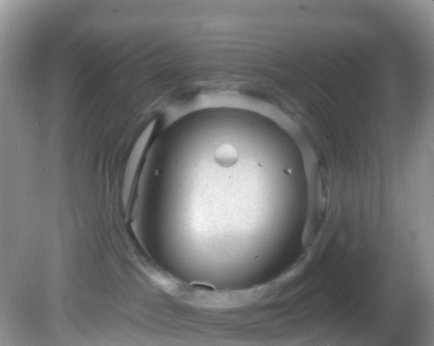 X0000082680045200702021238