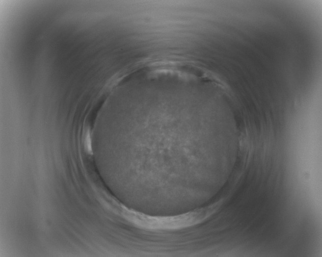 X0000082680046200702021238