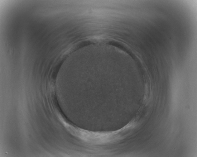 X0000082680048200702021238