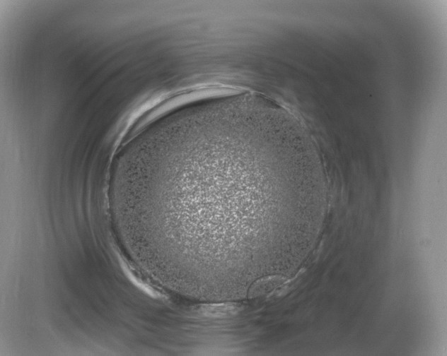 X0000082680050200702021237