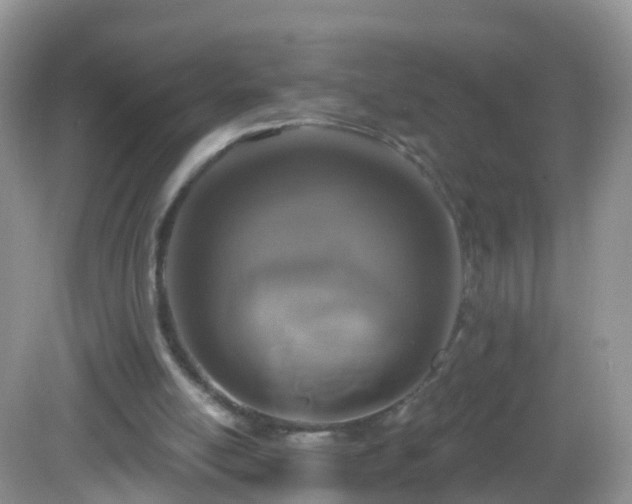 X0000082680054200702021237