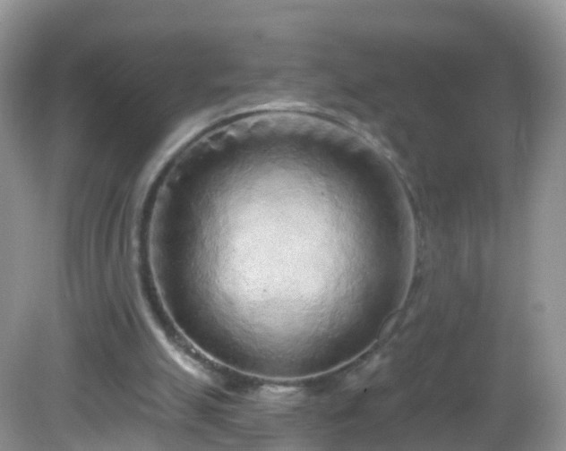 X0000082680055200702021237