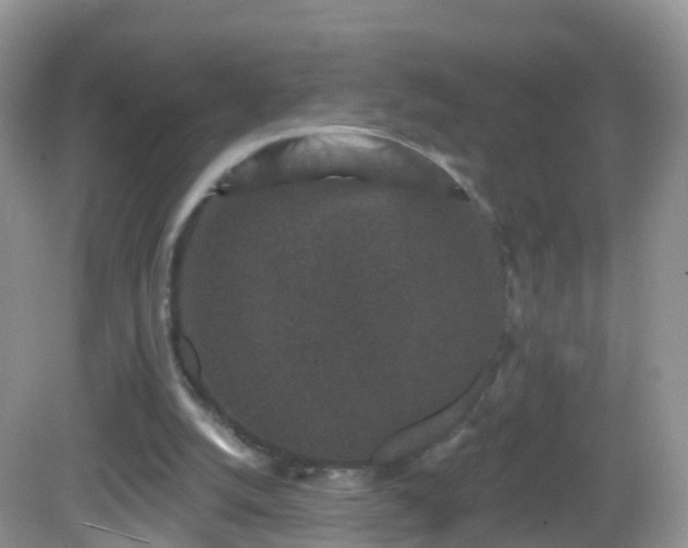 X0000082680056200702021237