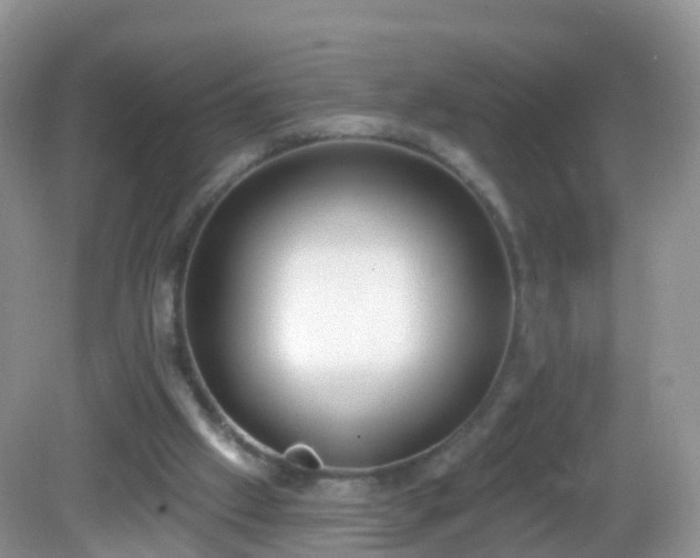 X0000082680057200702021237