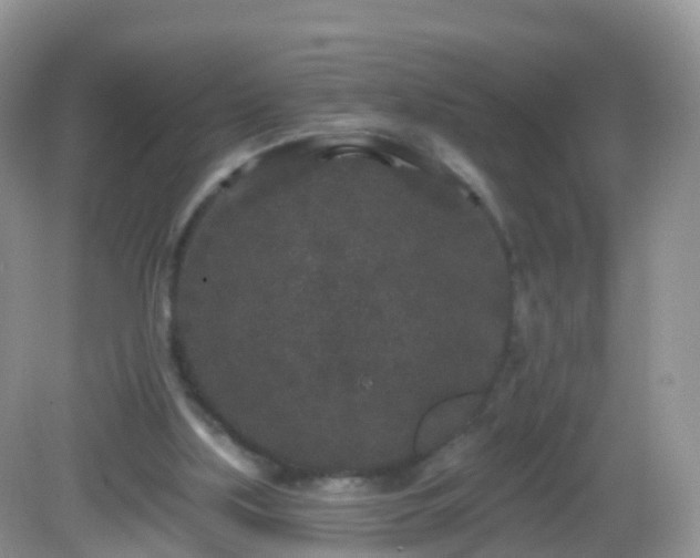 X0000082680059200702021237