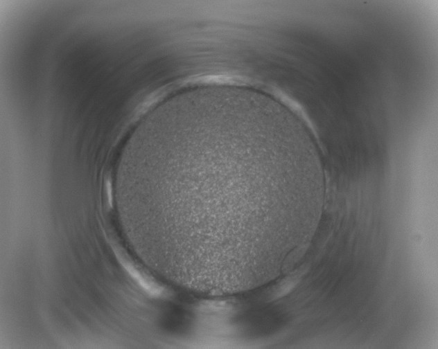 X0000082680061200702021237