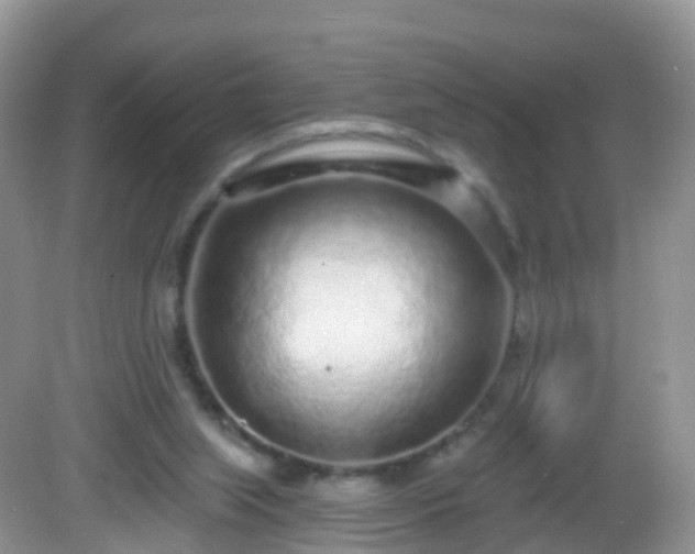 X0000082680063200702021237