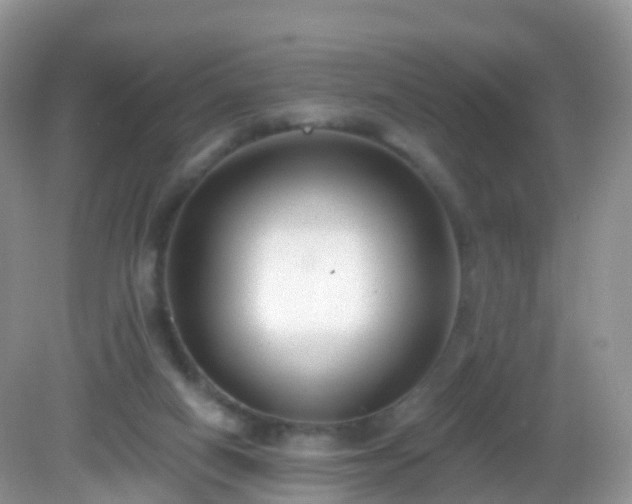 X0000082680066200702021237