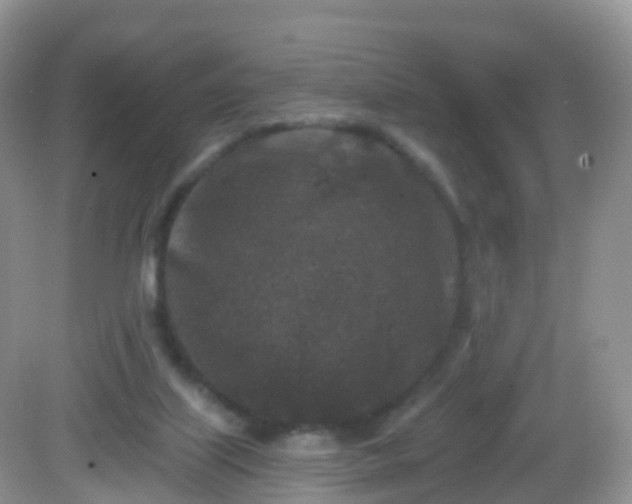 X0000082680067200702021237