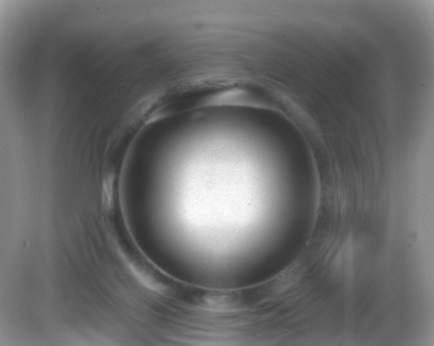 X0000082680070200702021237