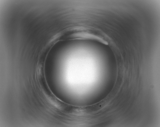 X0000082680071200702021237