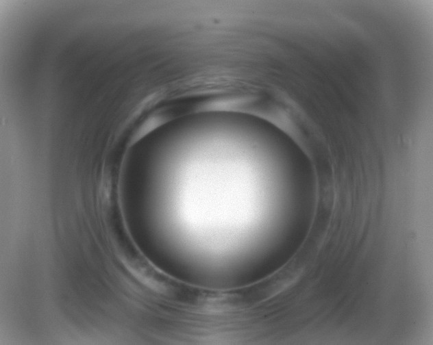 X0000082680072200702021237