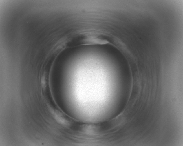 X0000082680074200702021237