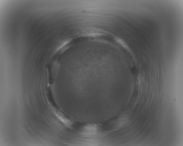 X0000082680076200702021237