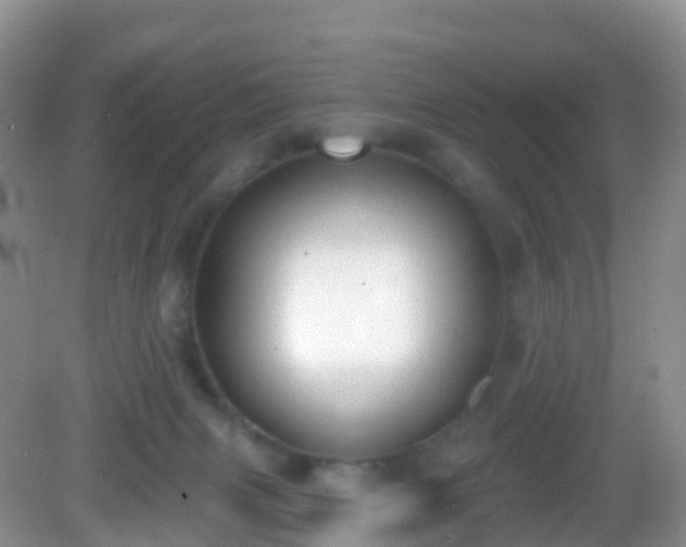 X0000082680079200702021237