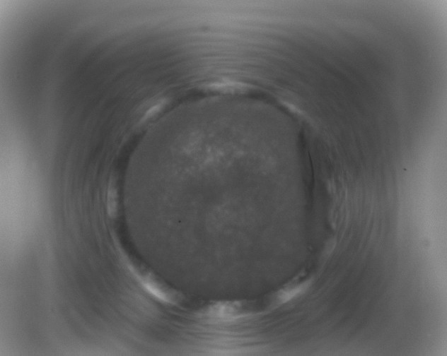 X0000082680080200702021237