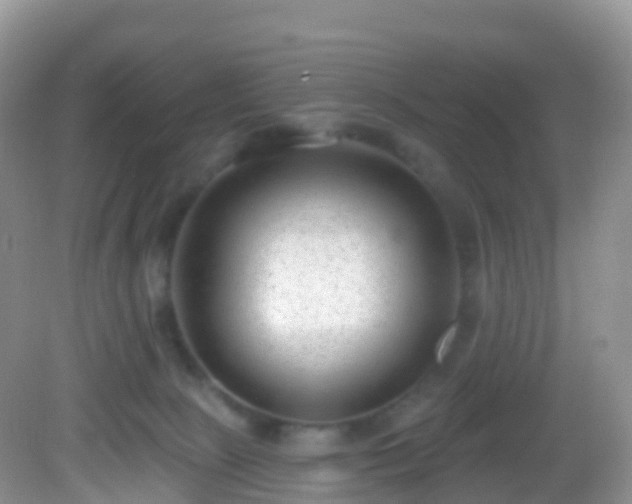 X0000082680081200702021237