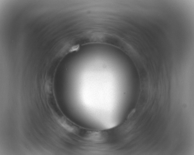 X0000082680083200702021237