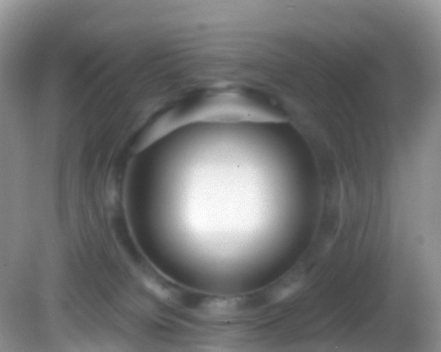 X0000082680084200702021238