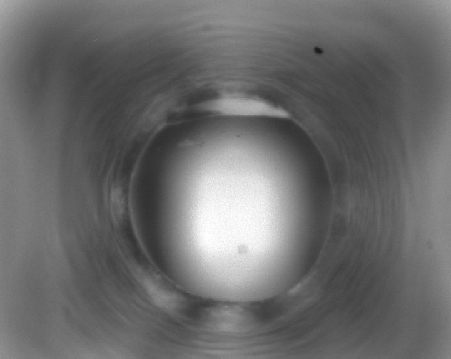 X0000082680086200702021238