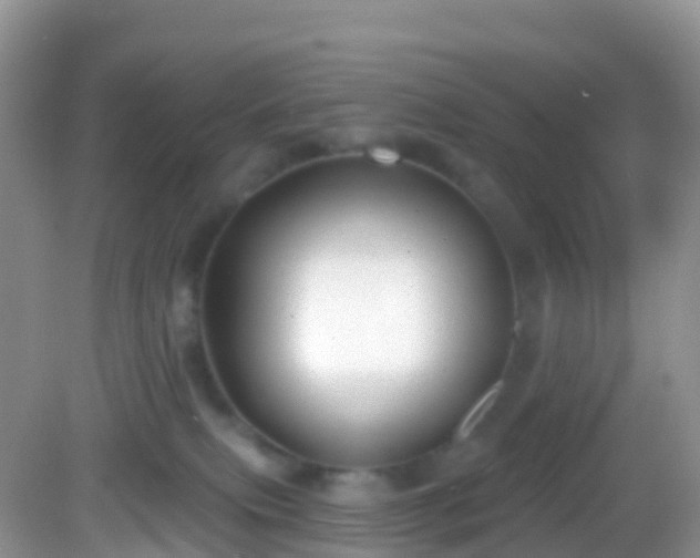 X0000082680087200702021238