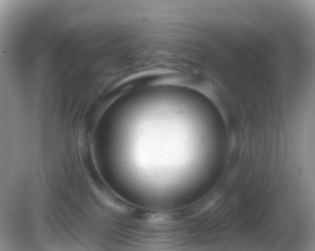 X0000082680088200702021238