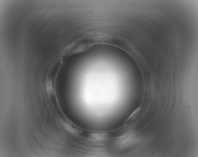 X0000082680089200702021238