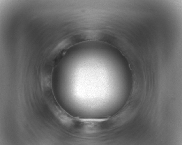 X0000082680096200702021238