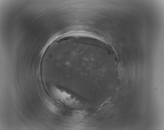 X0000082680099200702021237