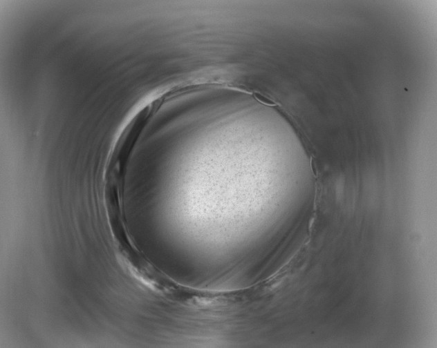 X0000082680100200702021237