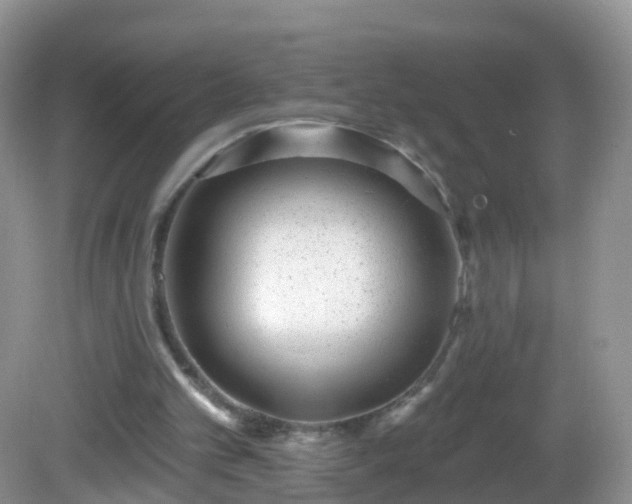 X0000082680101200702021237