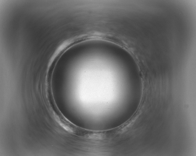 X0000082680102200702021237