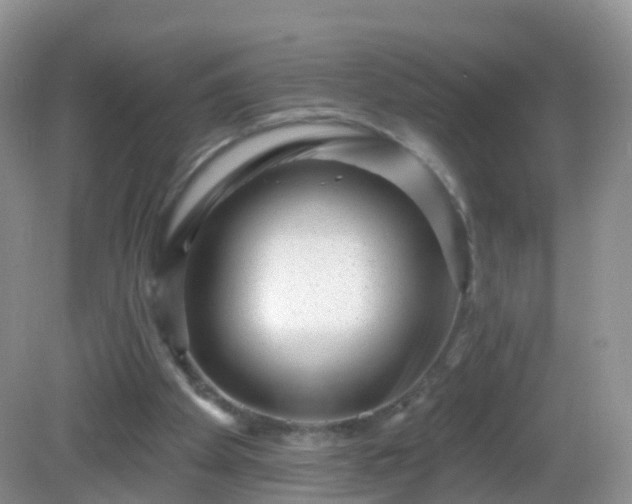 X0000082680105200702021237