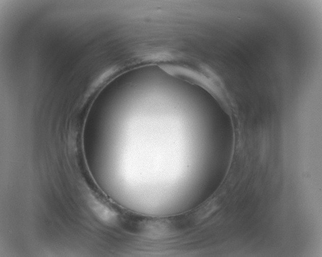 X0000082680106200702021237