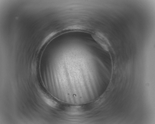 X0000082680108200702021237