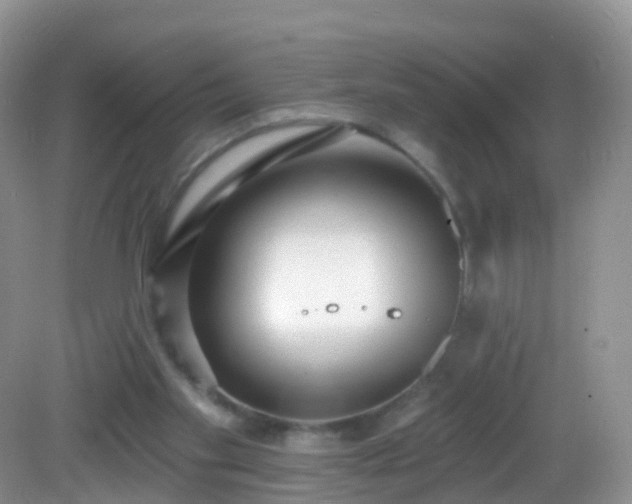 X0000082680109200702021237