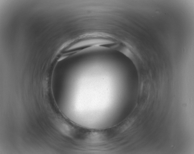 X0000082680111200702021237