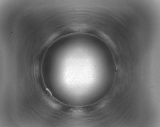 X0000082680113200702021237