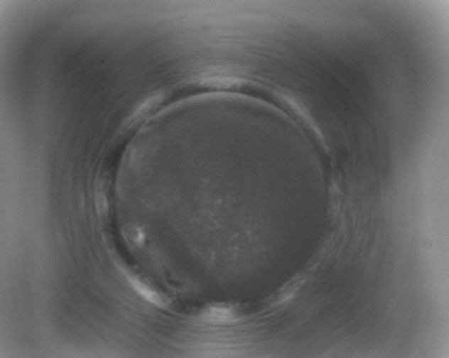 X0000082680114200702021237