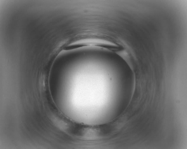 X0000082680115200702021237