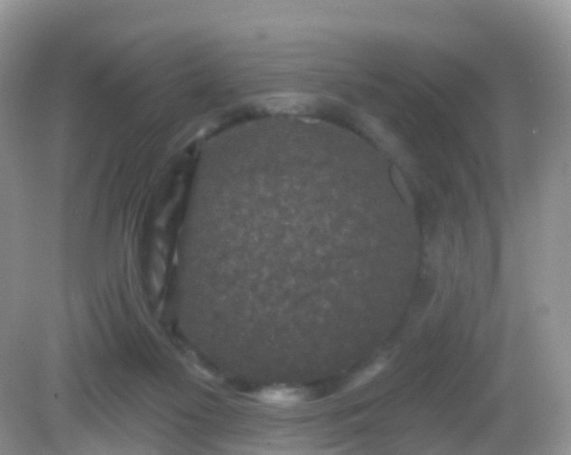 X0000082680117200702021237