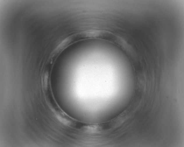 X0000082680118200702021237