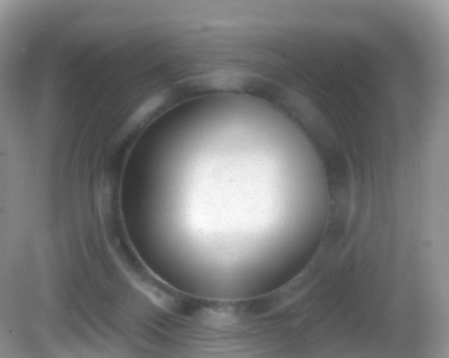 X0000082680120200702021237