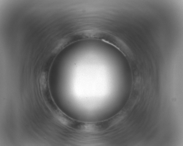 X0000082680121200702021236