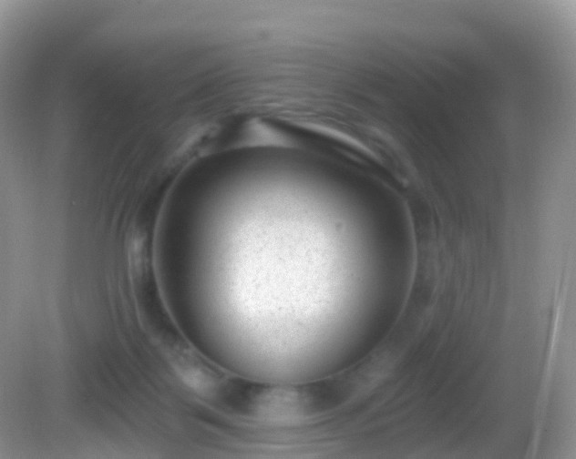 X0000082680123200702021236