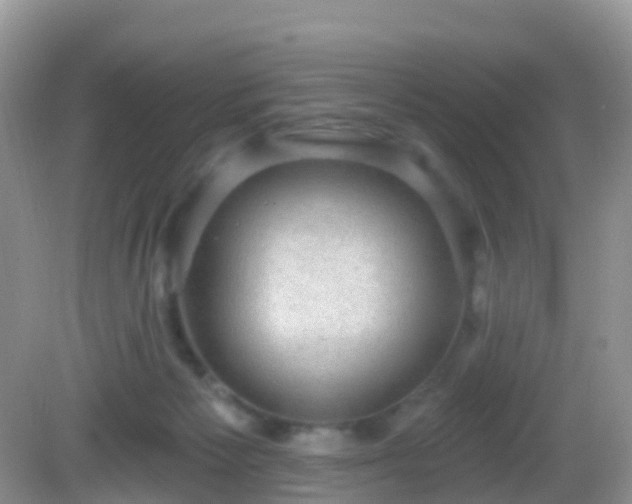 X0000082680125200702021236