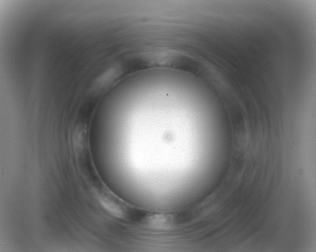 X0000082680126200702021236