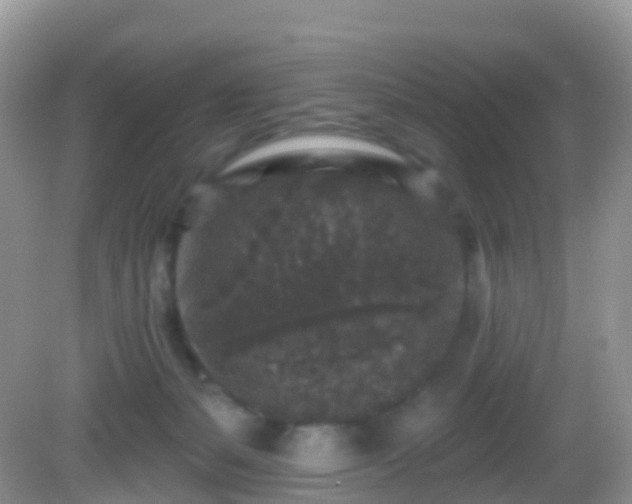 X0000082680127200702021236