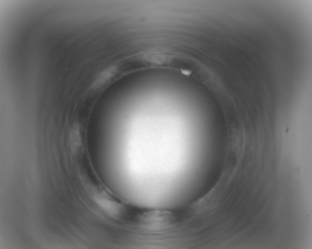 X0000082680128200702021236