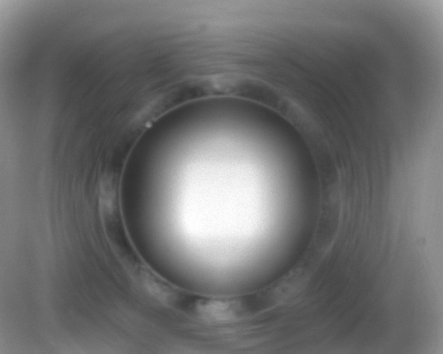 X0000082680129200702021236